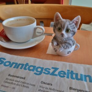Photo of a cat for Tuna Latte, Humans Get Foam