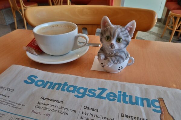 Photo of a cat for Tuna Latte, Humans Get Foam