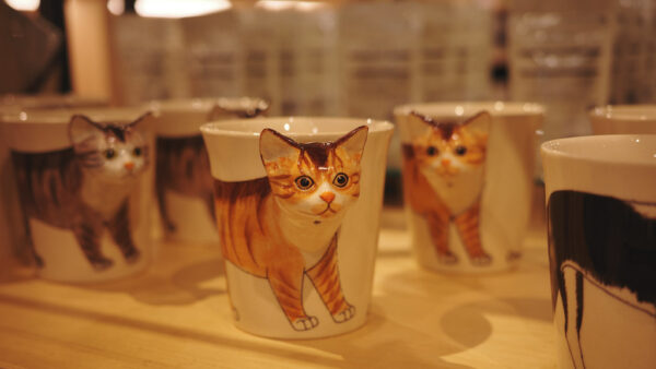Photo of a cat for Breakfast Cat Mug, Ceramic